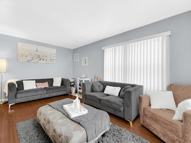 living room with wood-type flooring