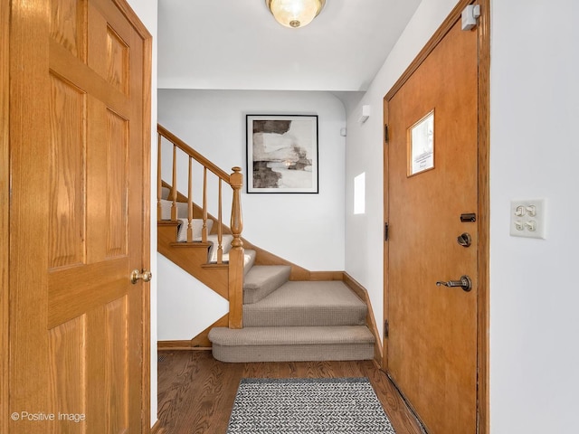 entrance foyer with dark wood-type flooring