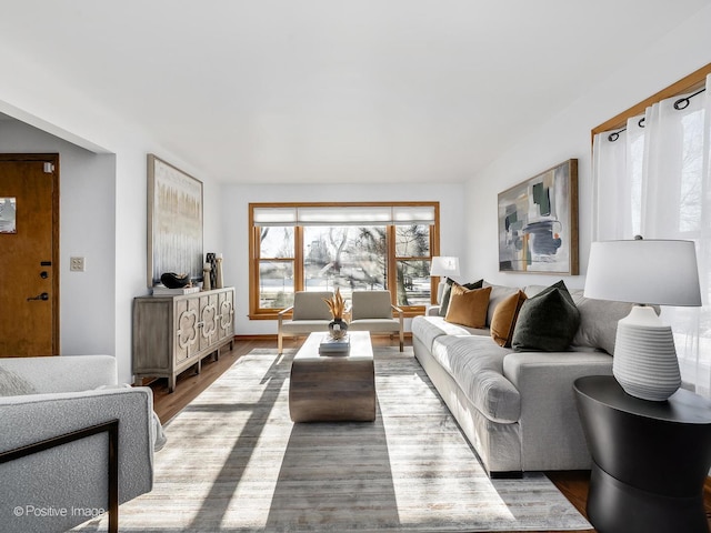 living room featuring wood-type flooring