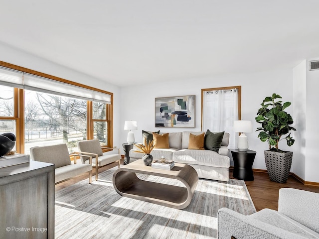 living room with wood-type flooring