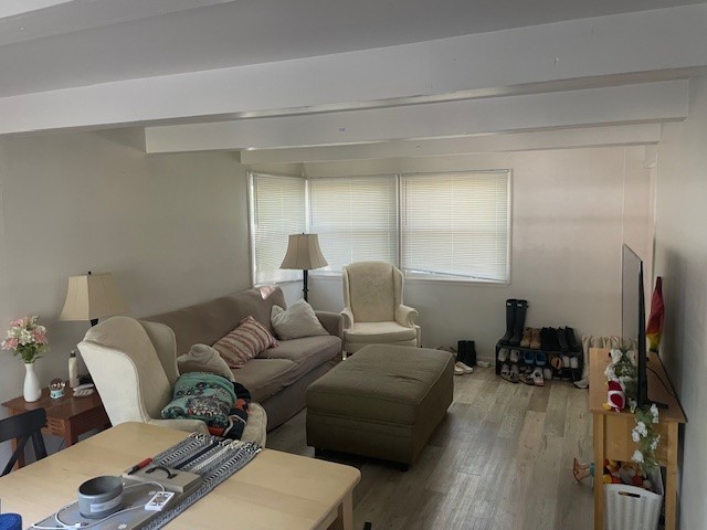 living room featuring wood-type flooring