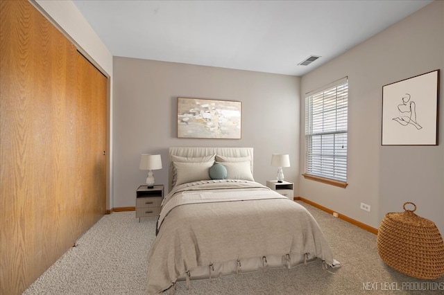 bedroom featuring carpet and a closet