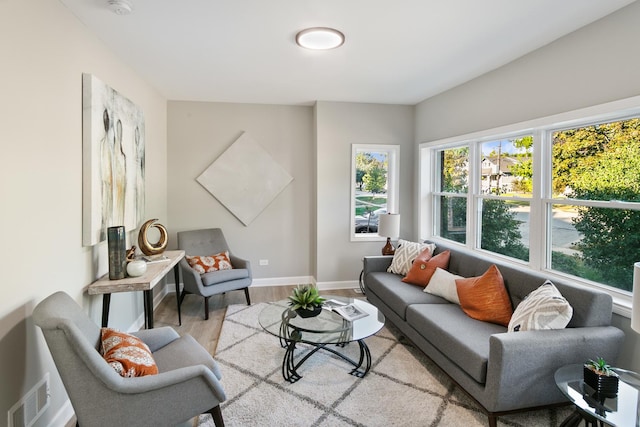 living room with light wood-type flooring and a healthy amount of sunlight