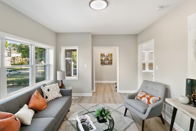 living room featuring light wood-type flooring