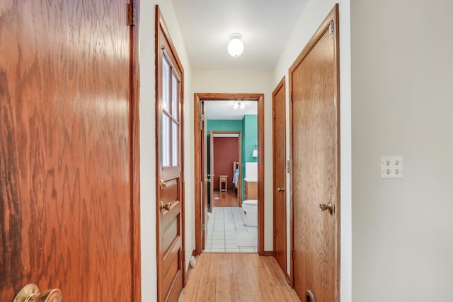 hallway with a wealth of natural light and light wood-type flooring