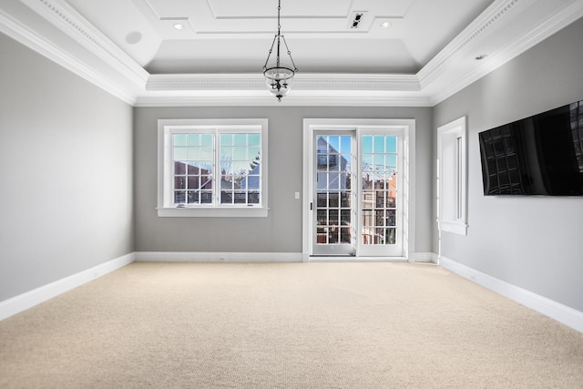 empty room featuring a raised ceiling, plenty of natural light, and crown molding