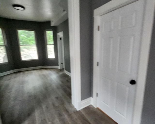 foyer featuring dark hardwood / wood-style flooring