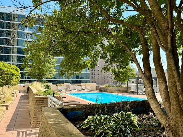 view of pool with a patio