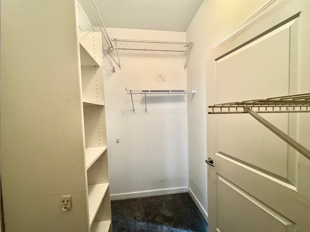 walk in closet with carpet floors