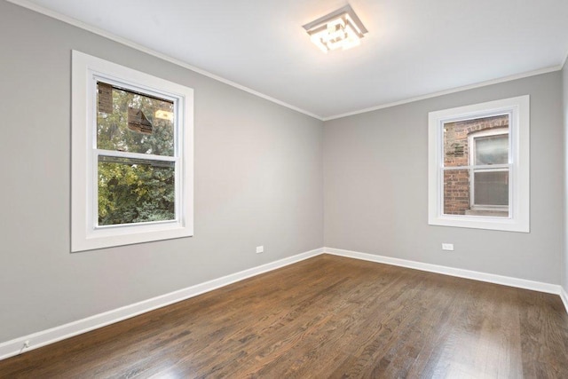 spare room featuring dark hardwood / wood-style floors and ornamental molding