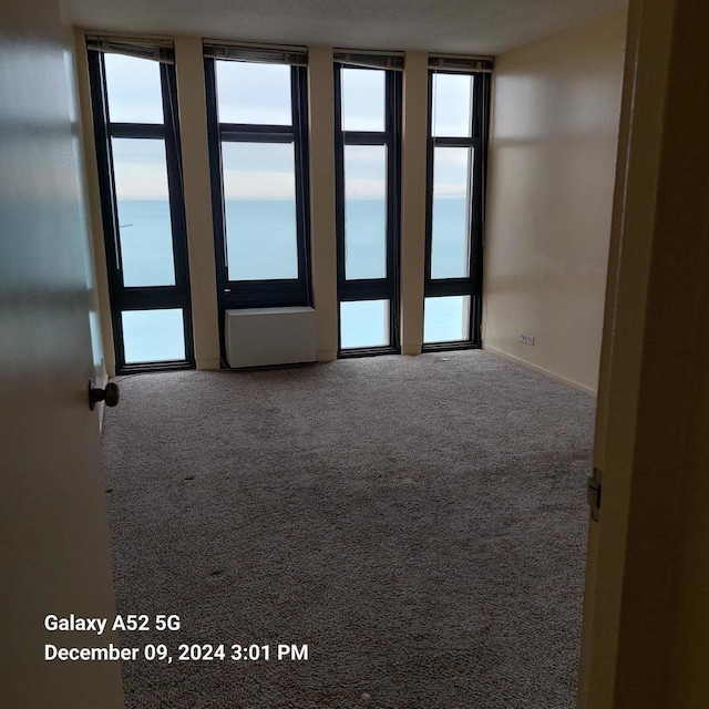 unfurnished room with carpet flooring