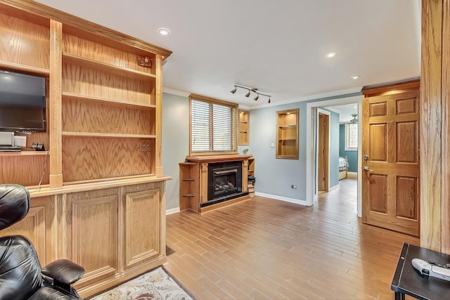 living room with rail lighting, light hardwood / wood-style flooring, and ornamental molding