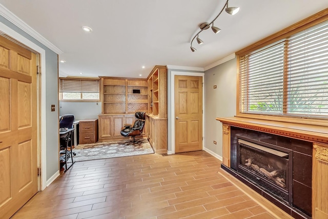 interior space featuring crown molding