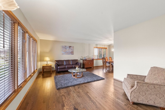 living room with hardwood / wood-style flooring