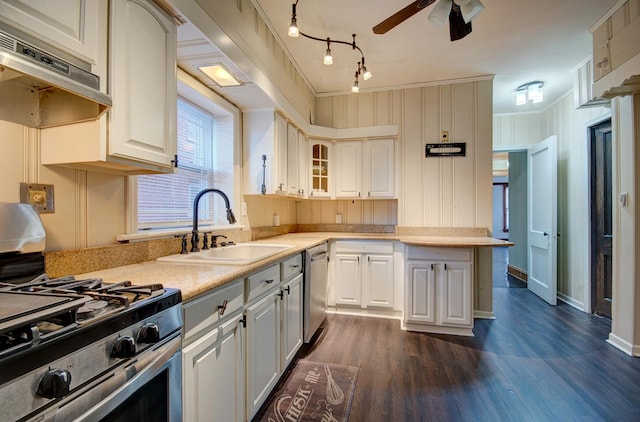 kitchen featuring dark wood-type flooring, ventilation hood, sink, ceiling fan, and stainless steel appliances