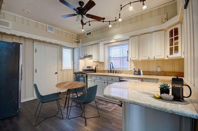 kitchen with appliances with stainless steel finishes, light stone counters, ceiling fan, sink, and dark hardwood / wood-style floors