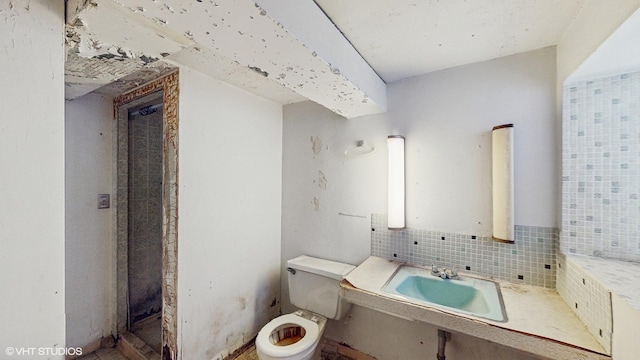 bathroom featuring backsplash, toilet, and sink