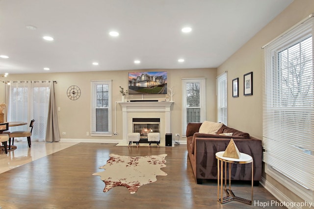 living room with wood-type flooring