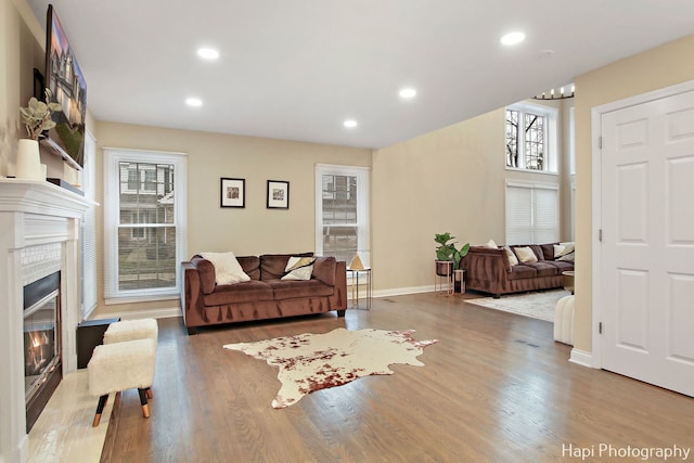 living room with a healthy amount of sunlight and light hardwood / wood-style flooring