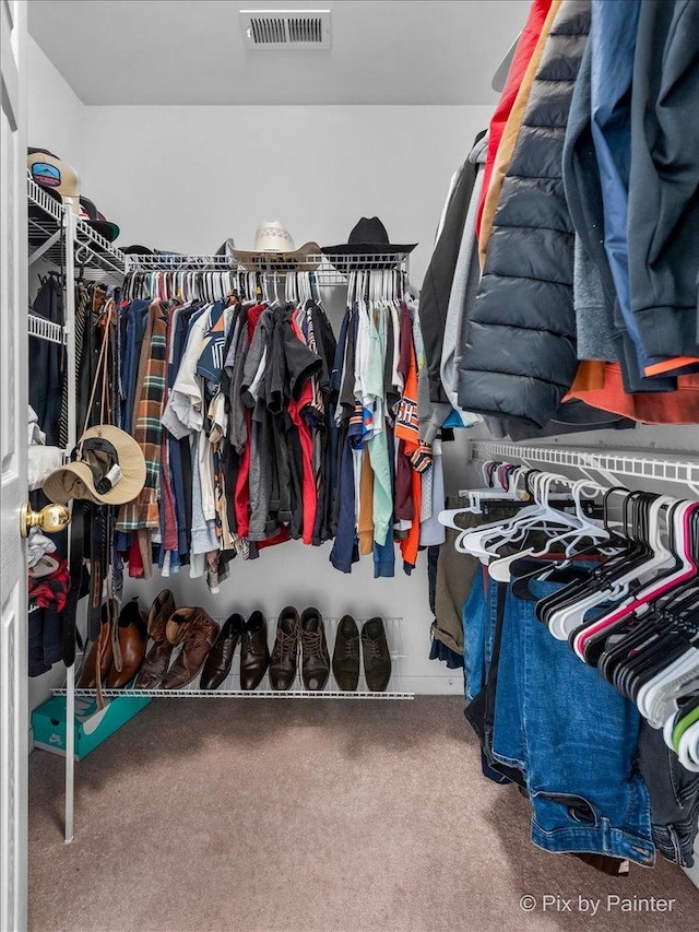 spacious closet with carpet floors