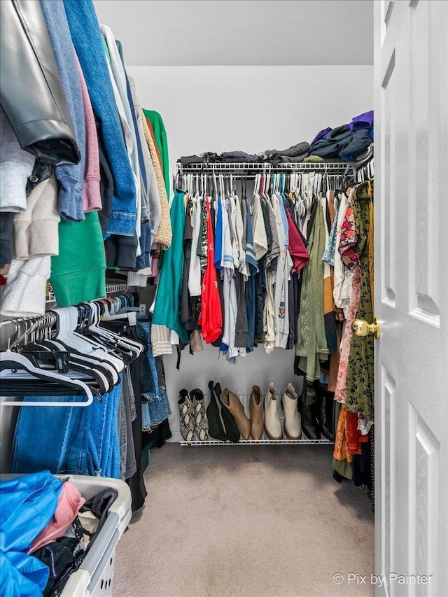 walk in closet with carpet flooring