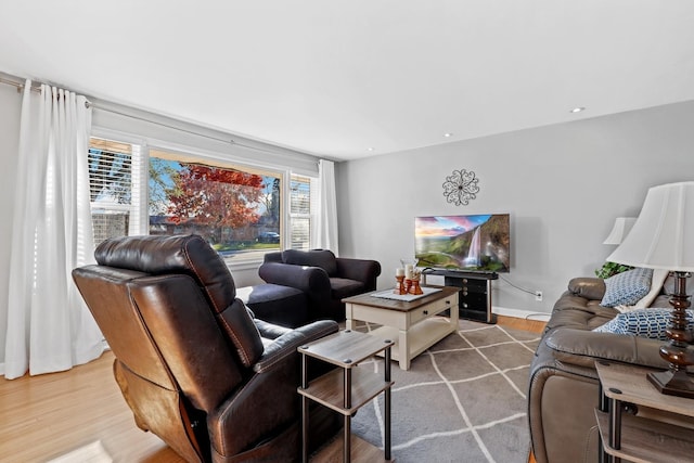 living room featuring light hardwood / wood-style flooring