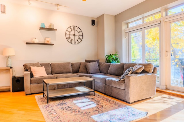 living room featuring light hardwood / wood-style floors