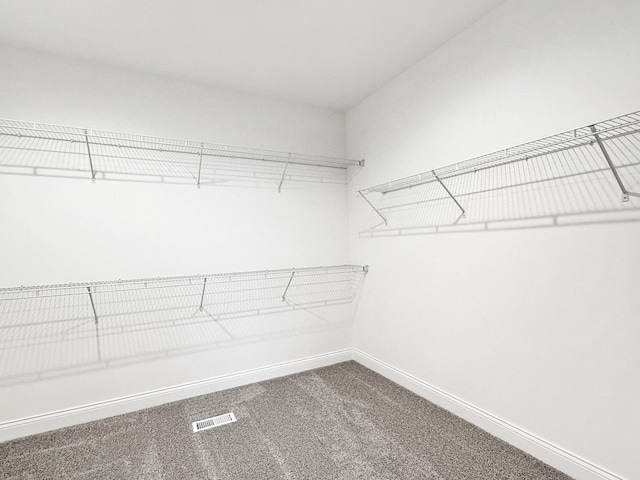 spacious closet with carpet flooring