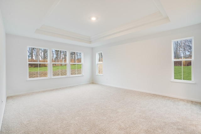 carpeted empty room with a raised ceiling and ornamental molding