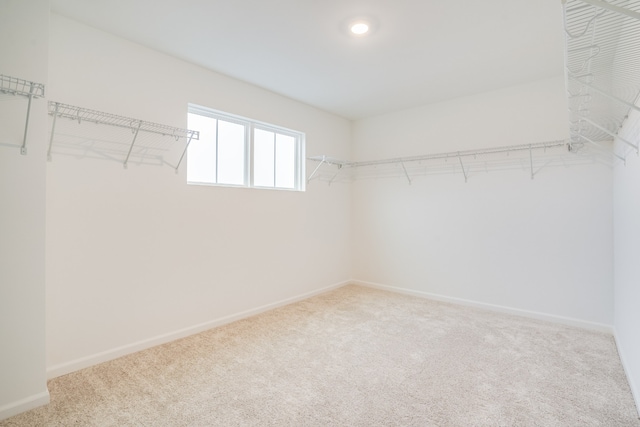 walk in closet featuring carpet floors