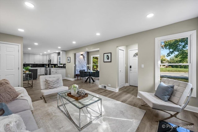 living room featuring light hardwood / wood-style flooring