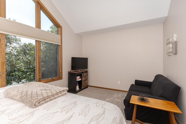 carpeted bedroom featuring lofted ceiling