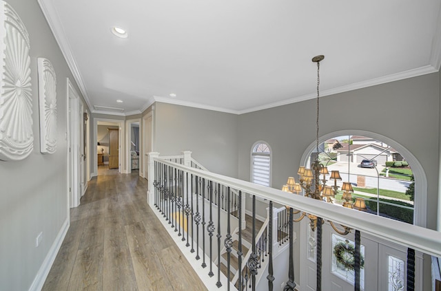 hall with a chandelier, hardwood / wood-style flooring, and ornamental molding