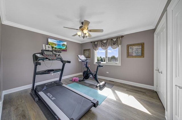 workout room with ceiling fan, wood-type flooring, and crown molding