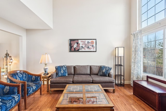 living room featuring wood-type flooring and a high ceiling