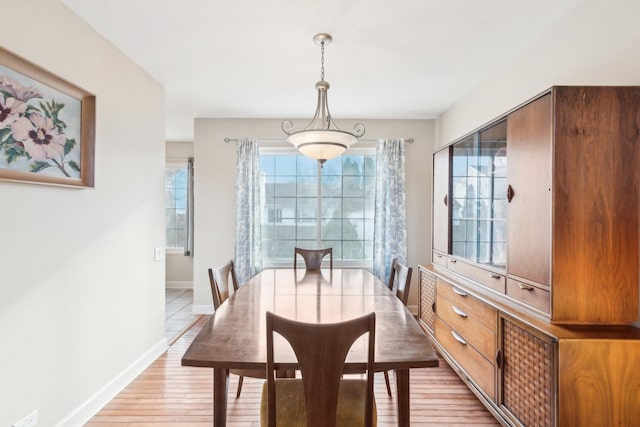 dining room with plenty of natural light and light hardwood / wood-style floors