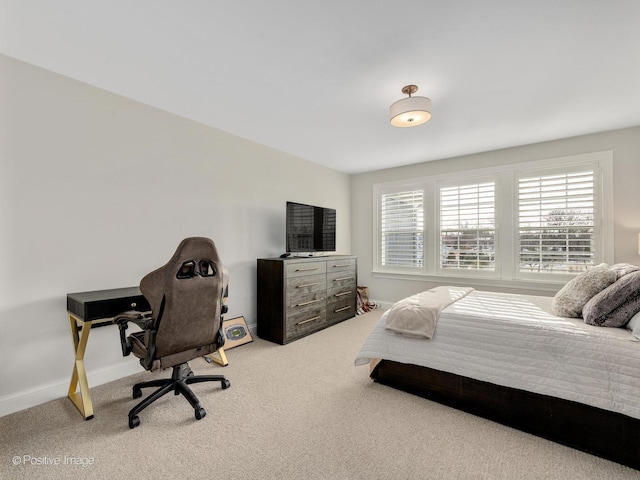 bedroom with carpet floors