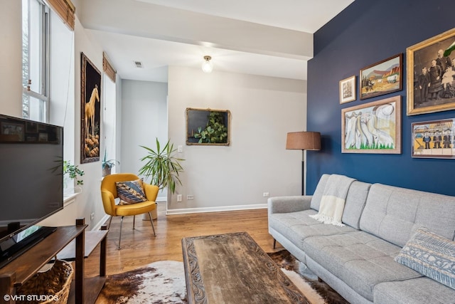 living room featuring wood-type flooring