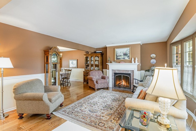 living room with a premium fireplace and light hardwood / wood-style floors