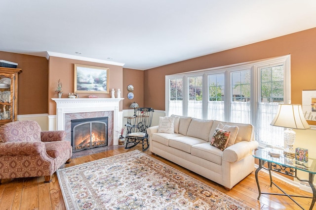 living room with light hardwood / wood-style floors