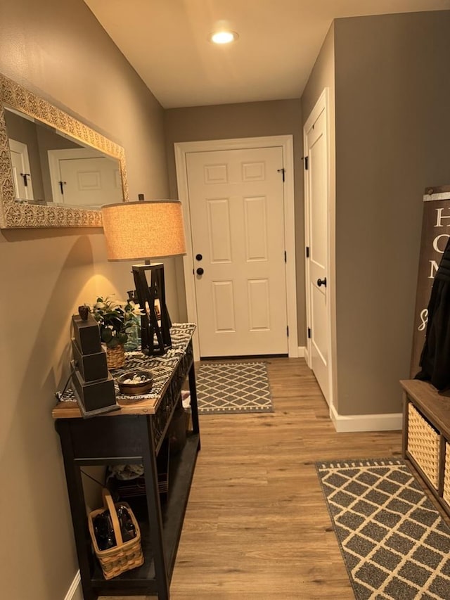 entryway featuring hardwood / wood-style floors