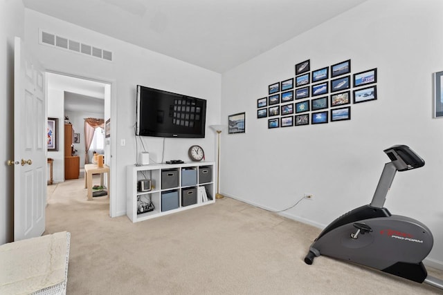 exercise area featuring carpet floors