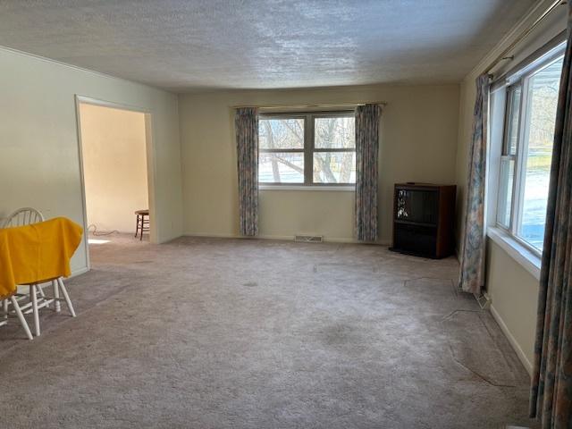 carpeted empty room with a textured ceiling and a healthy amount of sunlight