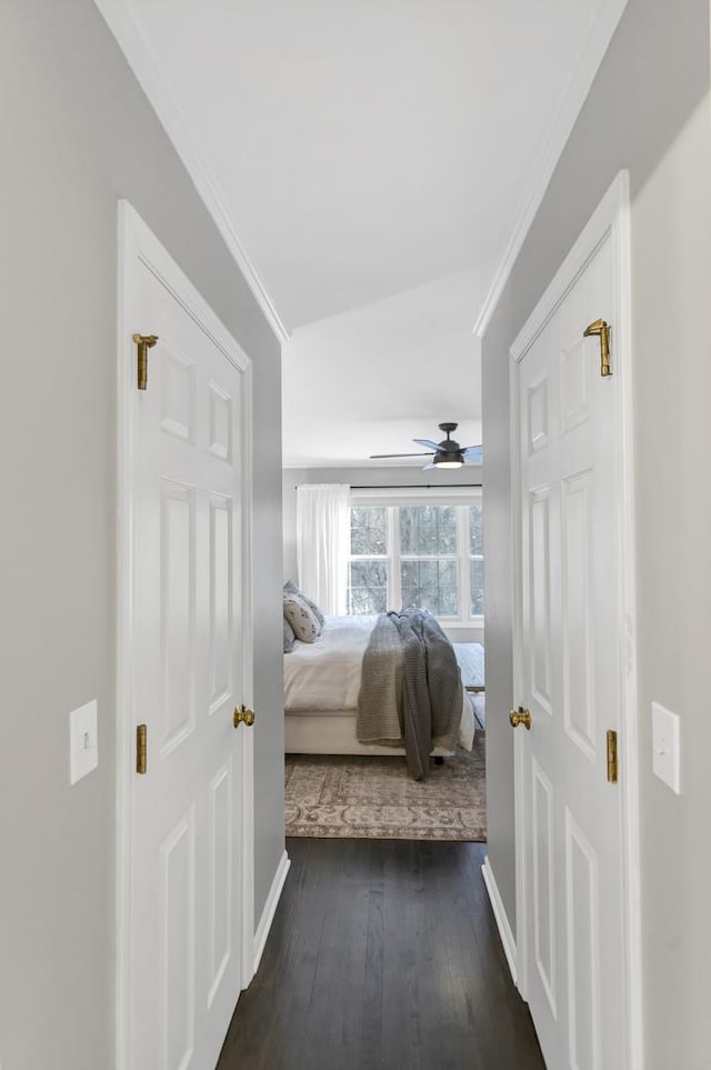 bedroom featuring ceiling fan, dark hardwood / wood-style flooring, and ornamental molding