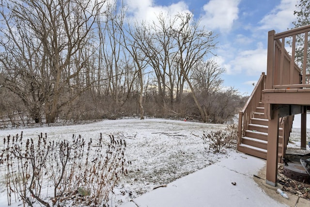 view of yard covered in snow