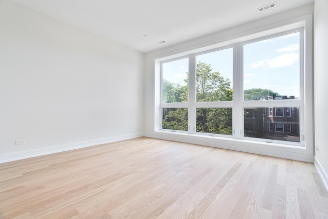 spare room featuring light hardwood / wood-style flooring and a wealth of natural light