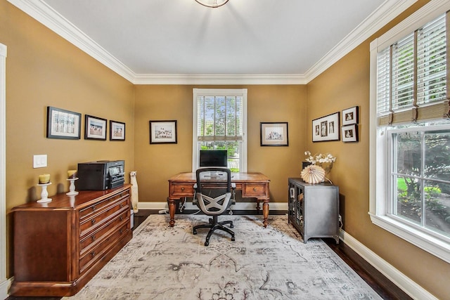 office featuring ornamental molding and wood-type flooring