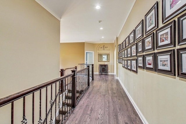 corridor with crown molding and dark hardwood / wood-style floors