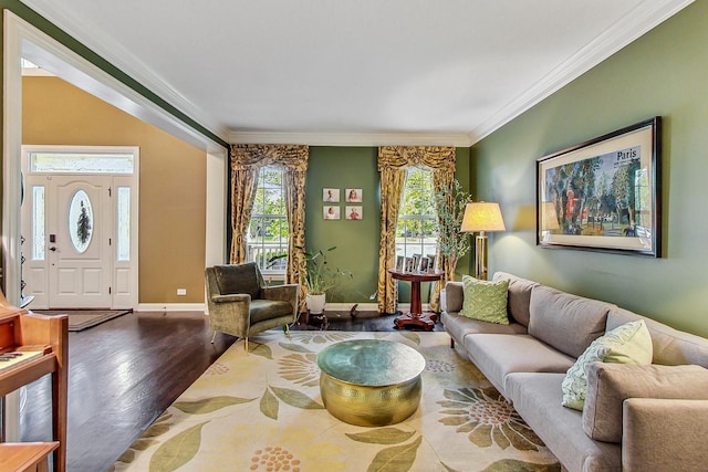 living room featuring crown molding and dark hardwood / wood-style flooring