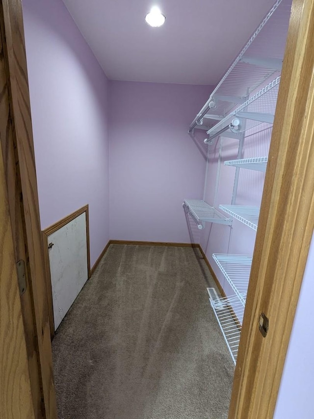 spacious closet featuring carpet flooring